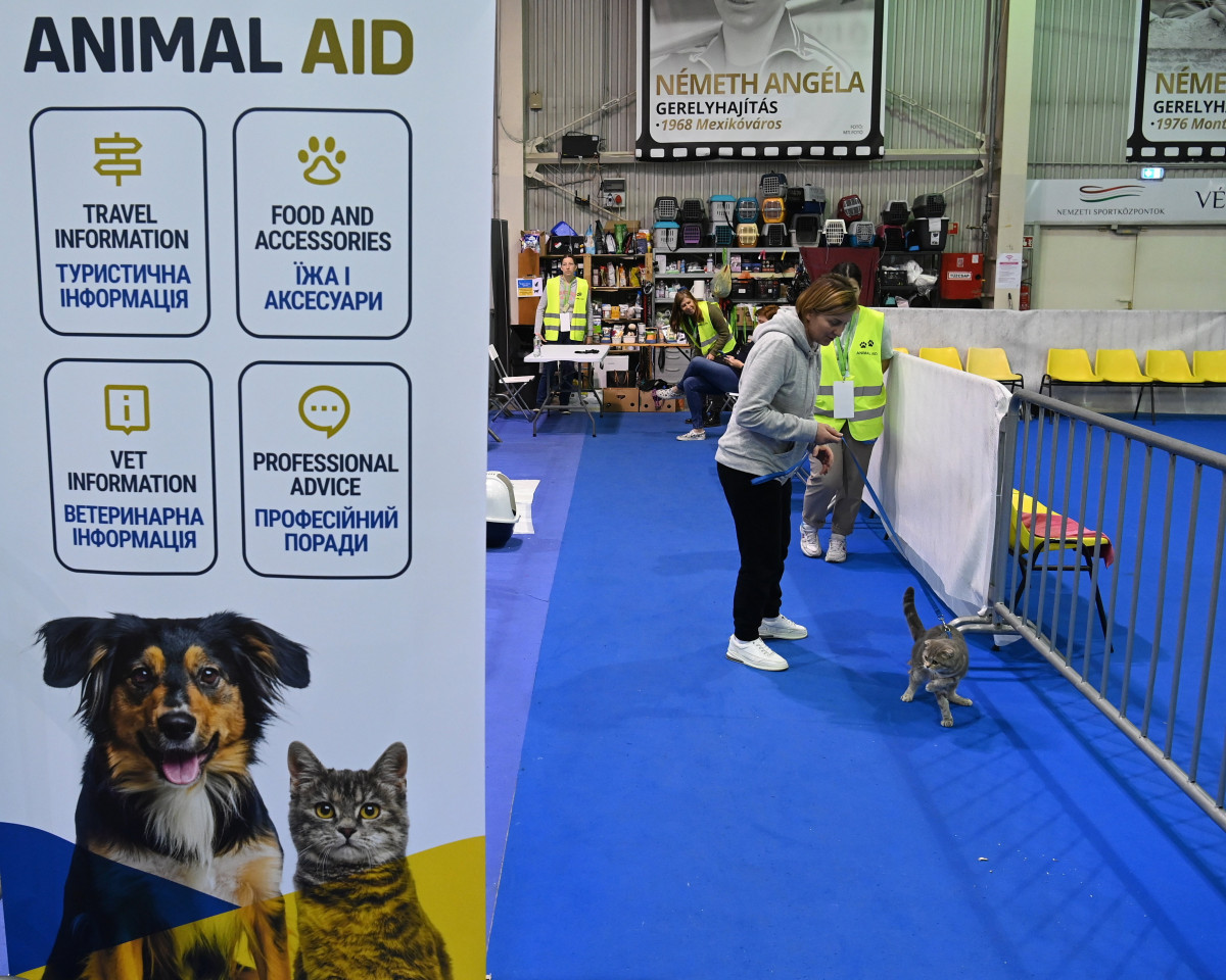 Az Ukrajnából érkezett menekültek kisállatainak fenntartott segítségpont a budapesti BOK csarnokban létesített humanitárius tranzitpontban 2022. április 22-én. MTI/Máthé Zoltán