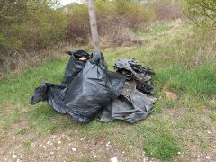 II. kerület szemétszedés Kadarka utcai óvoda
