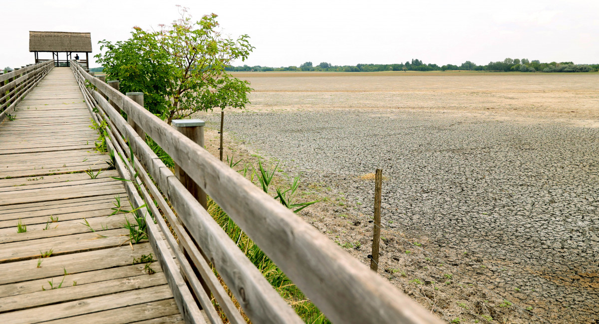 Nagyszéksósi Bivalyrezervátum