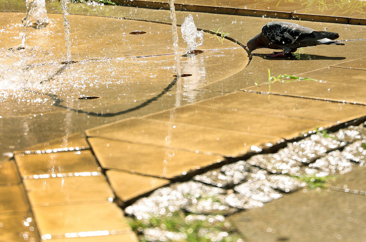 Szeged, meleg, nyár, kánikula, hőség, hőségriasztás, július, időjárás,