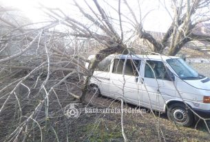 Autóra hasadt a fa Debrecenben