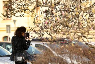Szeged, tavasz, természet, időjárás, február, virágzás, magnólia, Széchenyi tér