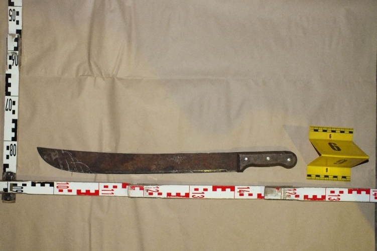 Bozótvágó késsel sebesítette meg munkatársát Gyömrőn